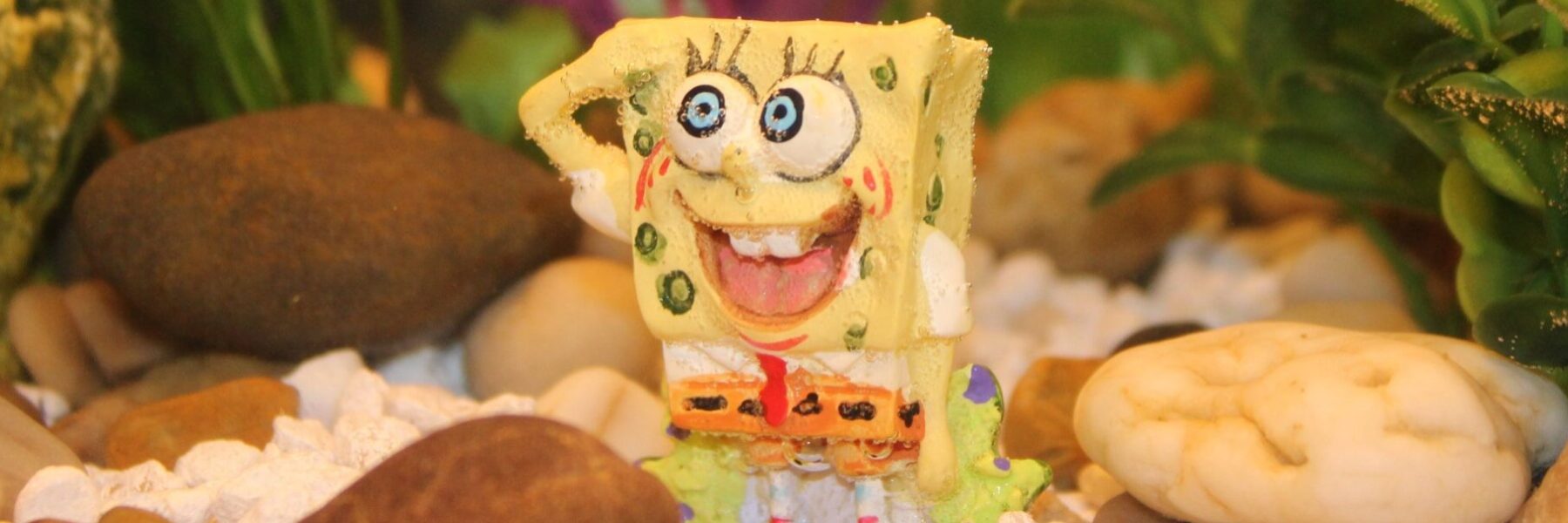 Spongebob