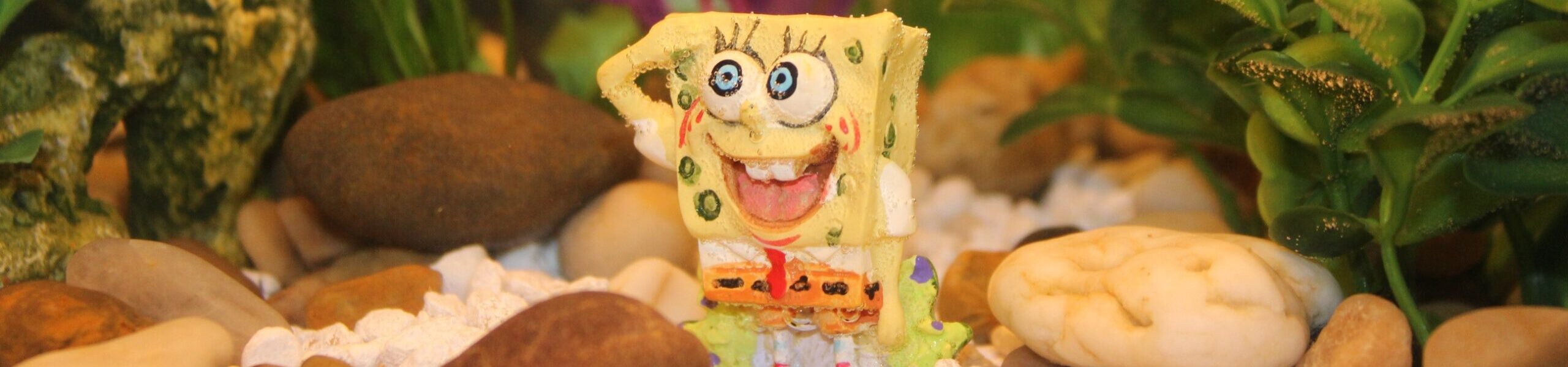 Spongiforma squarepantsii Die Verblüffende Entdeckung eines Schwammes